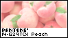 Pantone Peach